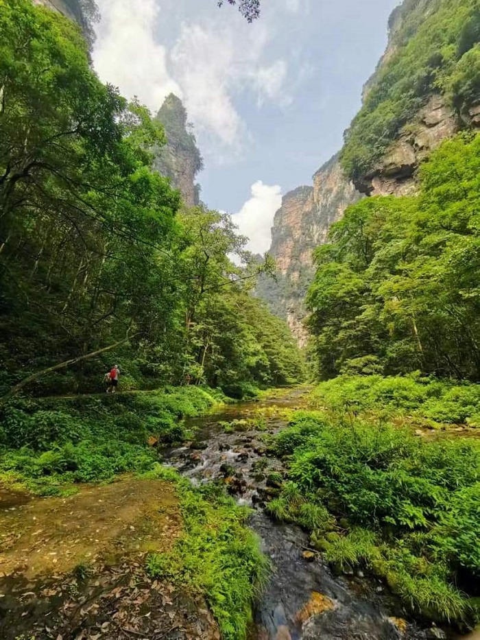 A Hike along the Canyon of Golden Whip Stream