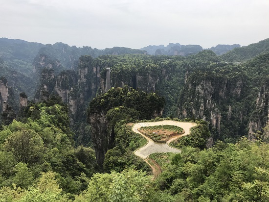 the Mountaintop Rice Field in Zhangjiajie National Forest Park