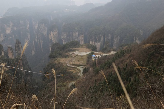 the Mountaintop Rice Field in Zhangjiajie National Forest Park