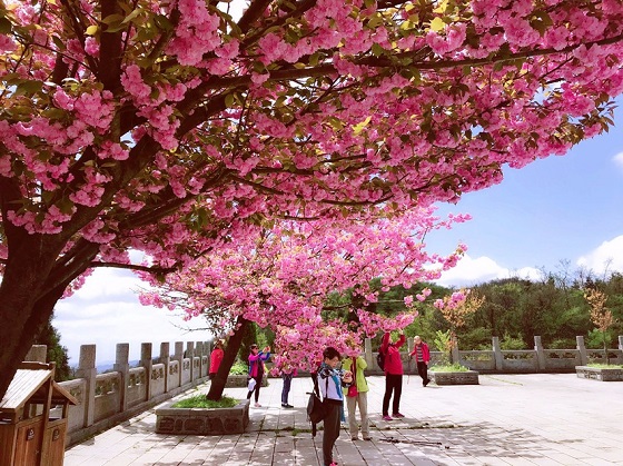 Zhangjiajie Natural Environment