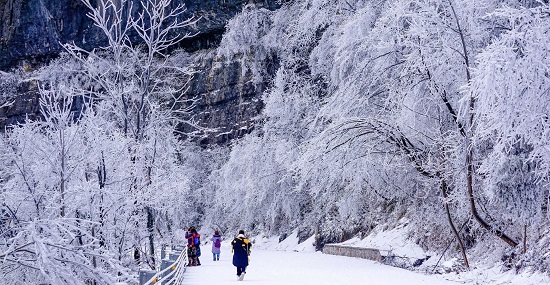 Zhangjiajie Forest Park in Winter