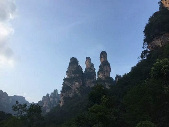 The Five Fingers Peak Zhangjiajie