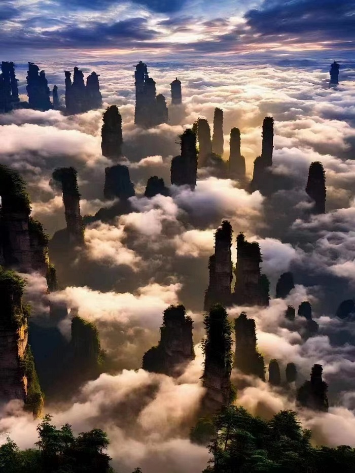 The West Sea Stone Forest in Tianzi Mountain