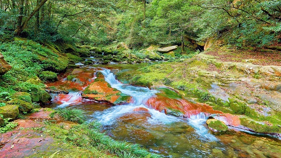 Zhangjiajie Golden Whip Stream 