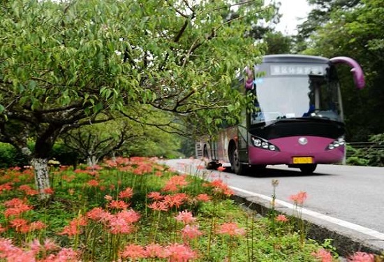 Zhangjiajie National Forest Park Shuttle Bus