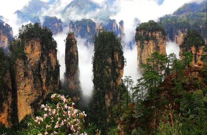 Zhangjiajie National Forest Park in Spring