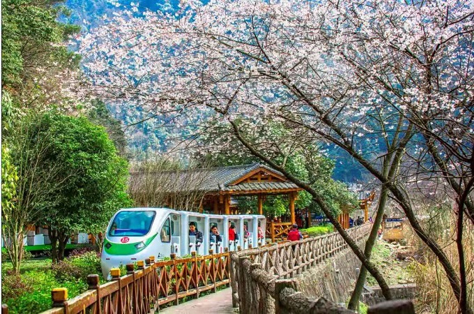 Zhangjiajie in Spring